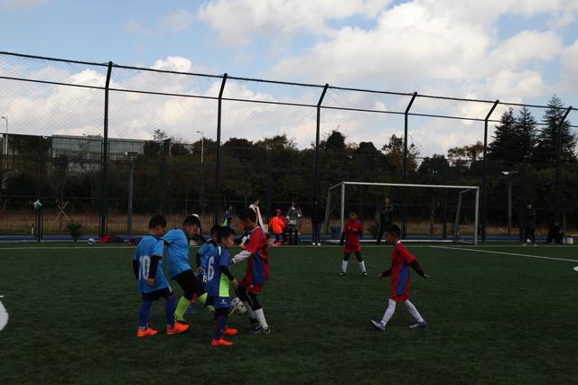 字母哥35+12雄鹿大胜猛龙 鹈鹕轻取爵士3连胜